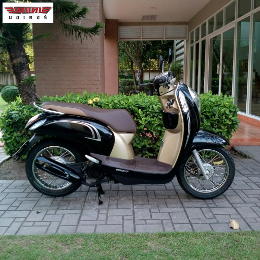 Scoopy i